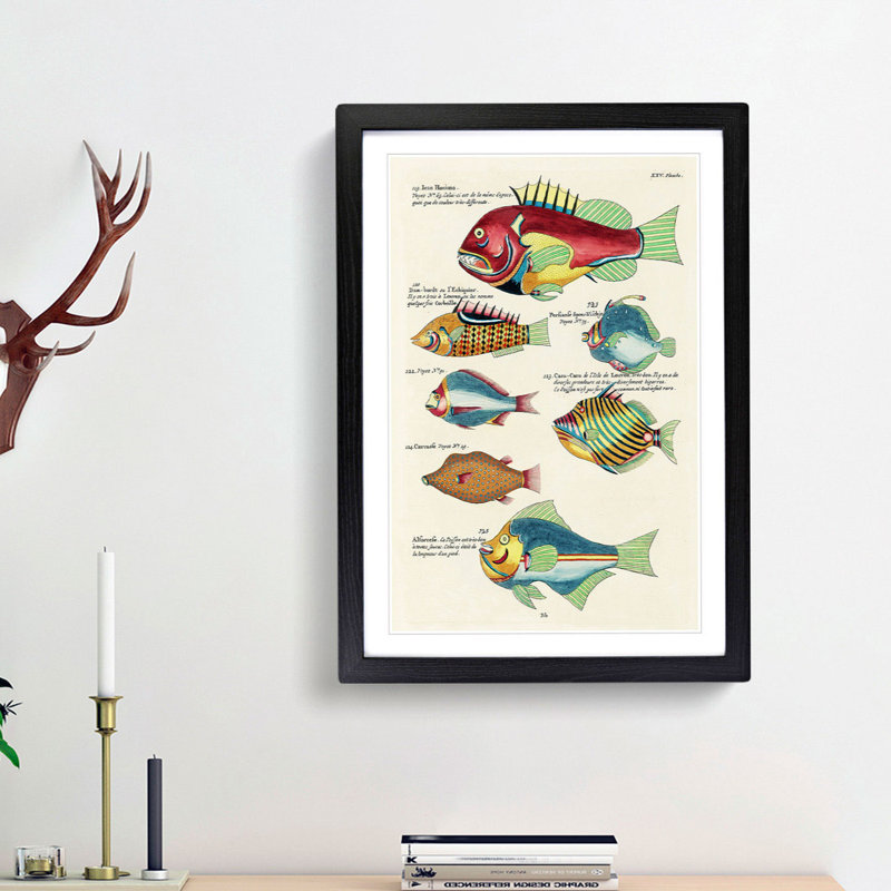 East Indies Fish Illustrations XXV by Louis Renard - Picture Frame Graphic Art Print, 65cm H x 48cm W x 2cm D, Black Framed