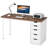 Computer Desk with 5 Drawers-1618757734