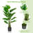 60'' Faux Palm Plant in Pot