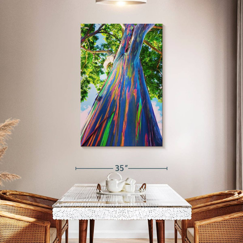 Eucalyptus hawaïen Harnek, H 48 po x l 32 po