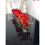 Driftwood Cymbidium Orchids Centerpiece in Glass Planter-1216674884-1216674882