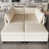 Chenille beige n'est pas disponible