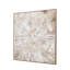 Starburst Flair Framed Canvas 1000x1000mm