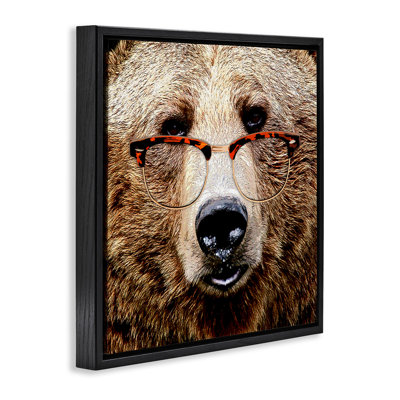 Grizzly Bear with Glasses