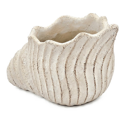 11.5X7x7 Inches Sand And Cement Shell Planter To Bring A Coastal Atmosphere Your Lounge