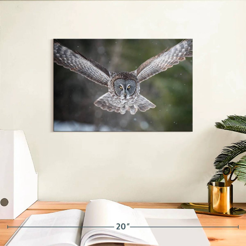 Brampt Flying Winter Owl, 8" H x 12" W