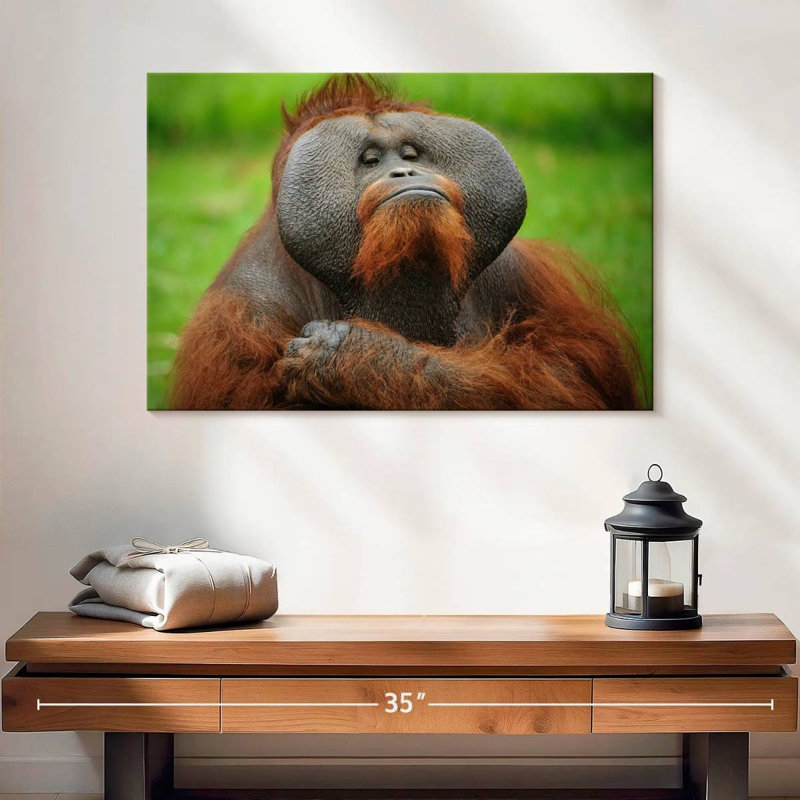 Bossy Orangutan, 16" H x 24" W