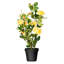 Plante artificielle jaune en pot 21 po-205694826