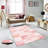 Stylish Hall Carpet (3.3 x 6.6 ft), 100% Polyester, 0.3 in Pile Height | Antibacterial, PVC Non-Slip Underside | 3D Digital Printing, Machine Washable | Perfect for Entryways & Living Spaces, Durable & Easy Care-2019669014