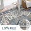 Oriental Machine Washable Blue Area Rug-1112506291