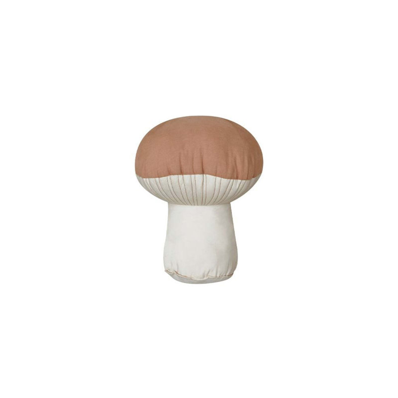 Cushion Boletus