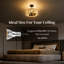 3 - Light Black Pendant