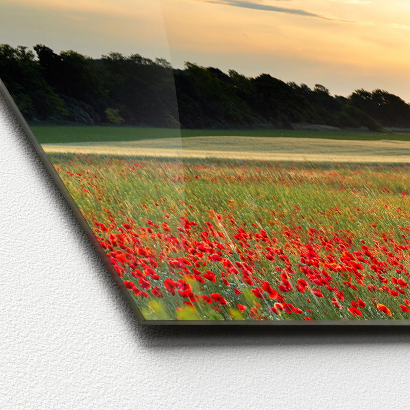No Frame Print on Glass, 50 cm H x 125 cm W x 1.4 cm D