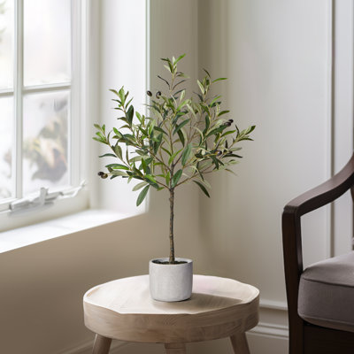 Faux Olive Tree Plant in Cement Pot