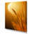 Wrapped Canvas