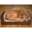 Lit pour chat et chien matelassé orthopédique matelassé Serta, très grand-31319149-120617111