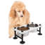 Mangeoire en bois pour chien-110590397