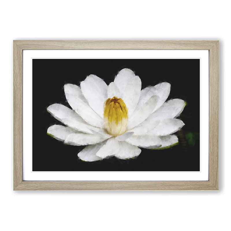 Heart of a White Lily - Picture Frame Graphic Art, Oak Framed, 27cm H x 36cm W x 2cm D