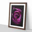 Striking Purple Rose - Framed Print-56742737-56742738