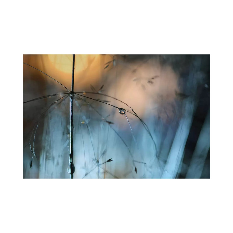 Almost Dark - Wrapped Canvas Print, 20.32cm H x 30.48cm W x 1.905cm D