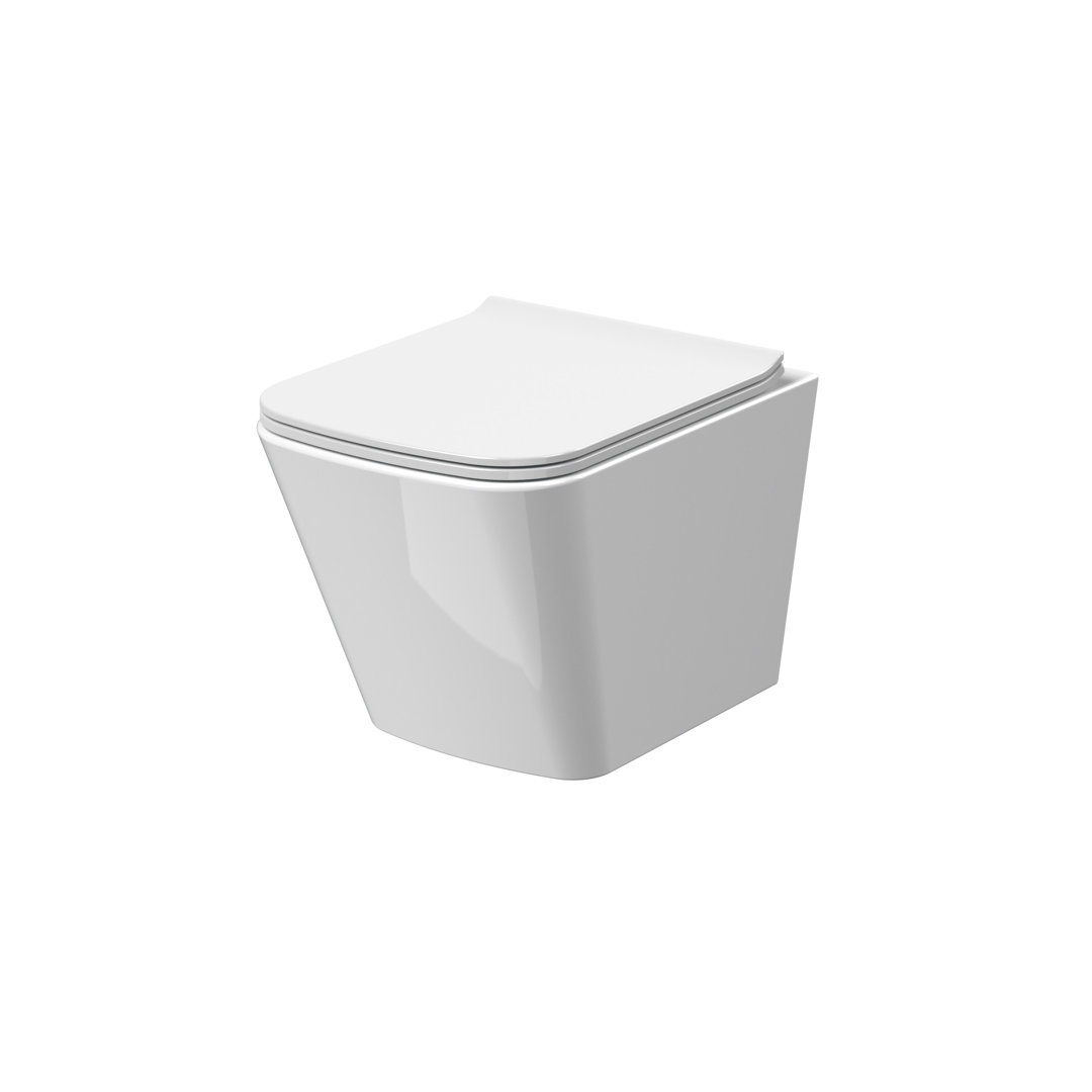 Ava Wall Hung Toilet and Mounting Frame with Soft Close Seat