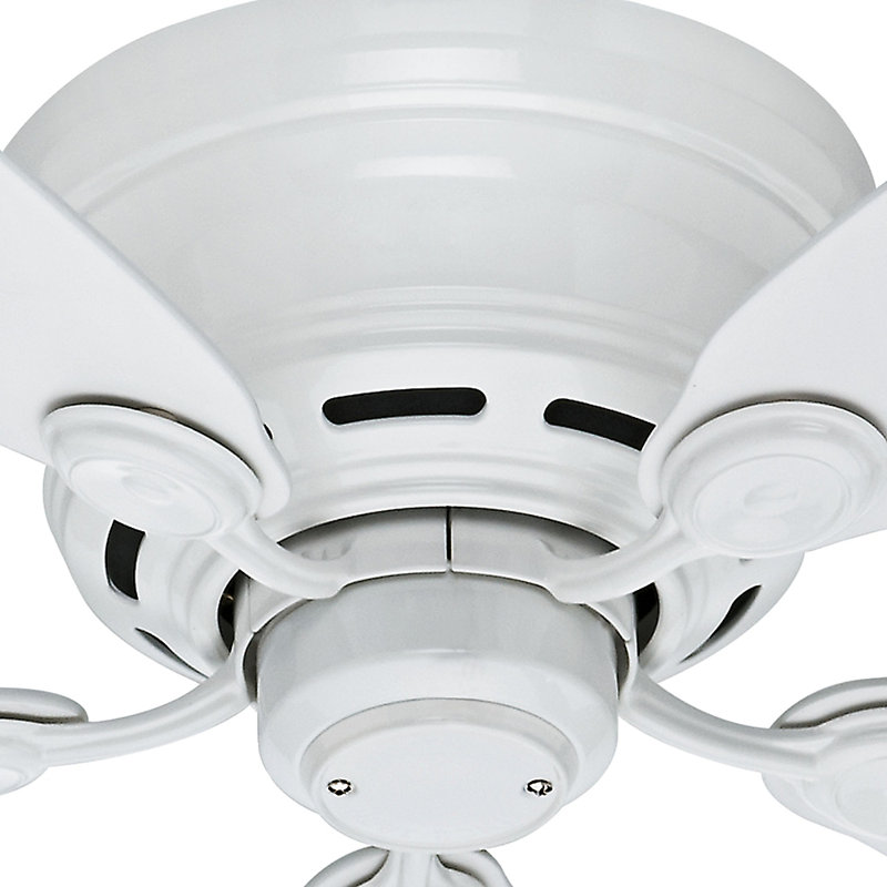 Low Profile IV 42" 5 - Blade Ceiling Fan with Pull Chain, White