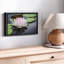Floral et botanique «Lotus rose blanc»-101780690