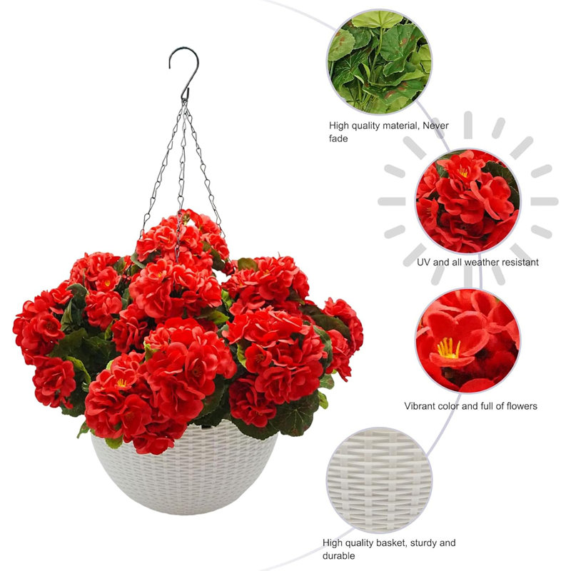 13.5cm Plant, Red