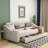 Prew Upholstered Daybed-1636400237