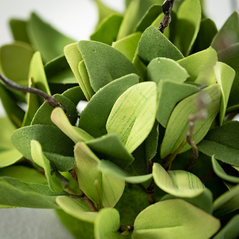 Mcneely Ruscus Leafy Twig Arrangement