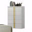 Contemporary Style 1Pc Chest Modern Design Metal Bracket Legs Gold Dust Proof Case Ball Bearing Glides
