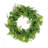 24 inch Artificial Spring Wreath with Ivy, Fern Leaves, Seed Pods, and Flowing Green Stems   