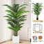 Plantes artificielles réalistes pour la décoration intérieure-577536932