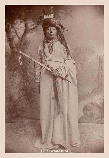 « chief white oiseau », reproduction de photo