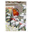 Polyester à 2 côtés 40 x 28 po drapeau maison European Robin