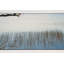 Moria Area Rug-1645283798