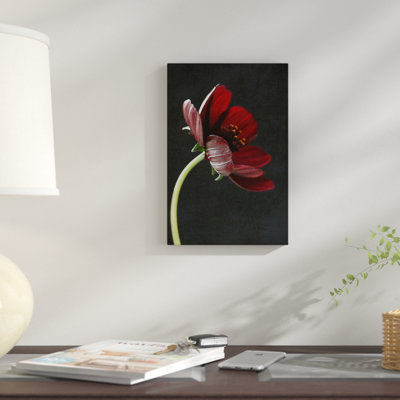 « chocolat cosmos fleur i », reproduction de photo sur toile