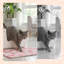 Tapis pour chat Sweetie Heart