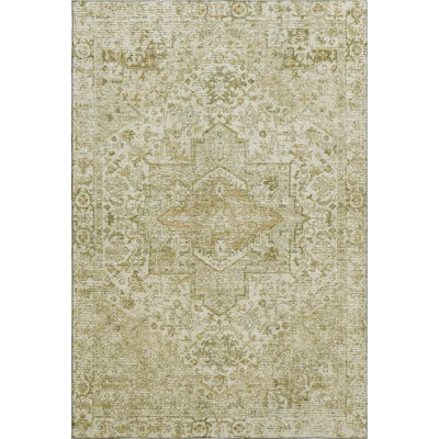 Premium Machine Washable Verlin AMF1767 Global Rug