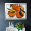Citrus Grouping II, reproduction d'art sur toile-1802686968-1802686971