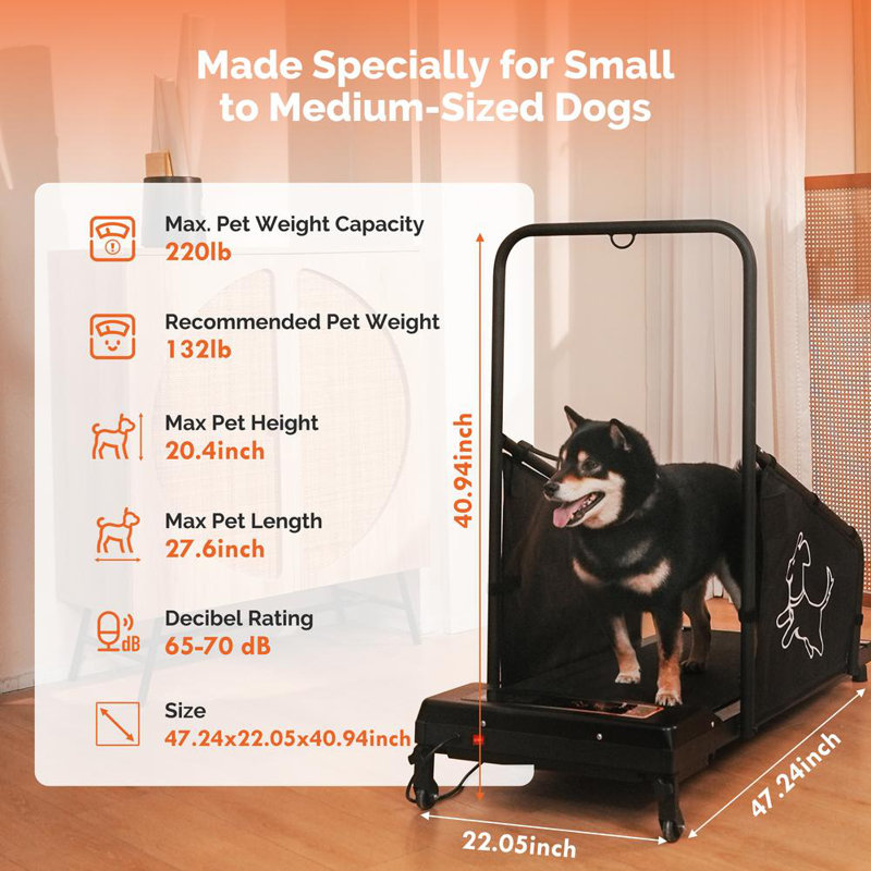 Dog Pacer Treadmill for Small to Medium Sized Dogs– Healthy Run & Walk Exercise Machine for Fit Pets