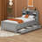 Aleona Bookcase Bed-1769185944