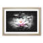 A Pale Pink Water Lily - Picture Frame Graphic Art Print-56875915-56875914
