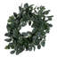 Vickerman 24" Green Eucalyptus Wreath.