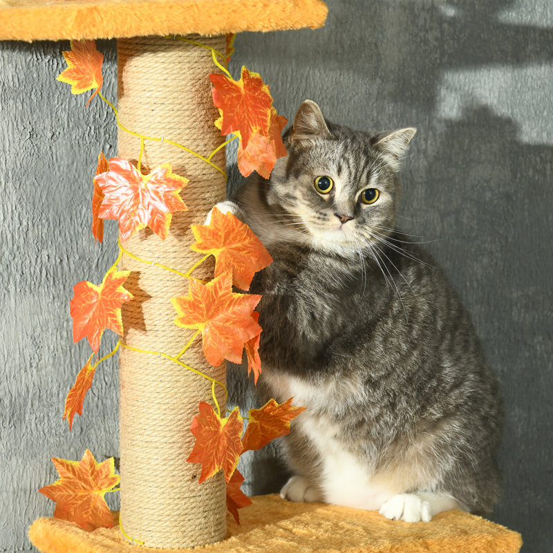 513.08cm H Cat Tree, Orange