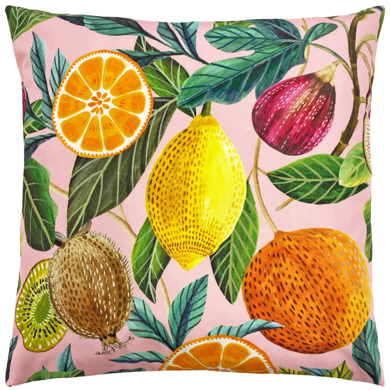 Foxe Cushion