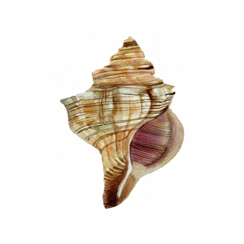Neutral Shell Collection 1 - impression sur toile tendue, H 16 po x l 12 po