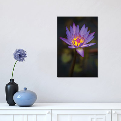 Bloom 1 Piece Wrapped Canvas Wall Art