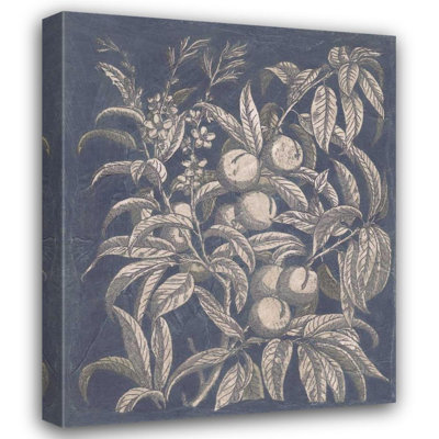 «Alcea Hill® Meagher, Megan», art sur toile tendue sous le titre «Vintage Fruit and Floral II»