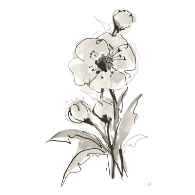 Coquelicot II